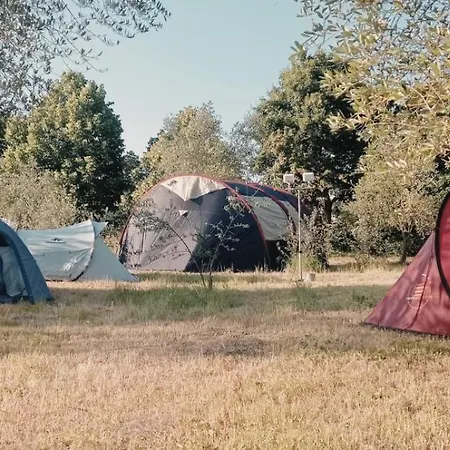 Yanvii_factory Campsite *